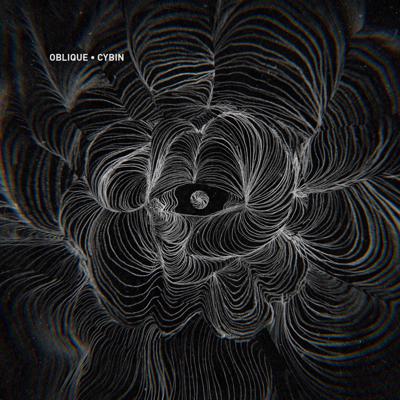 OBLIQUE - CYBIN