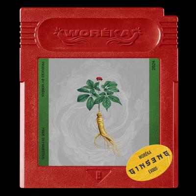Woréka - G 1 N S 3 N G